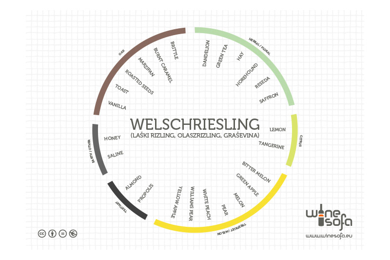 ws_welschriesling_flavor_profile.jpg