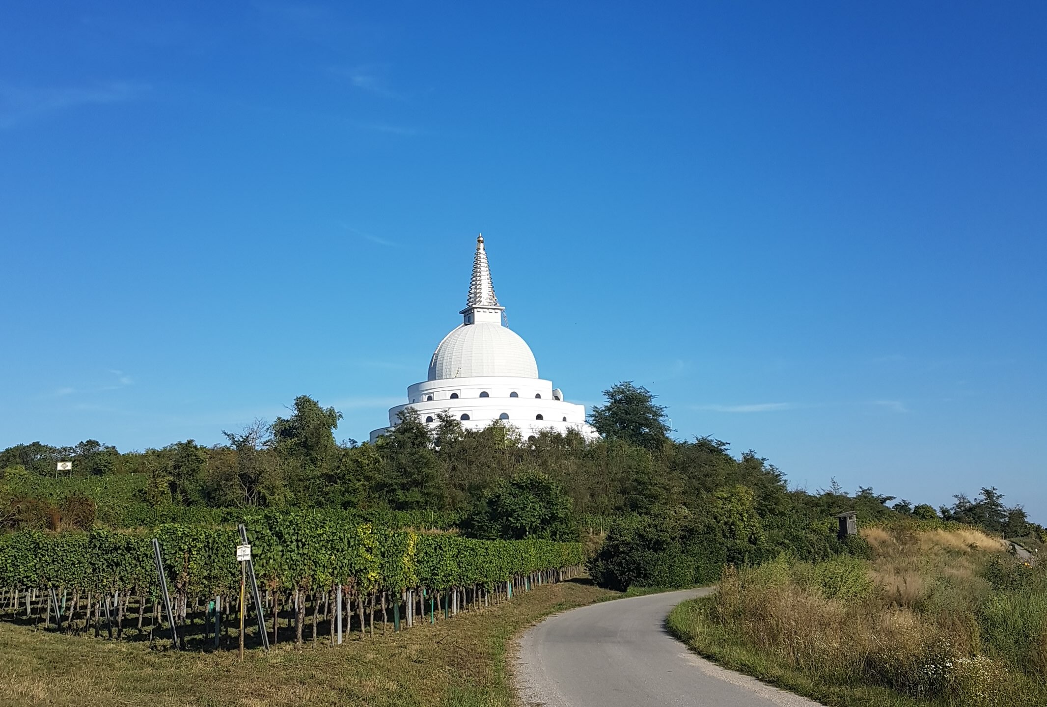 Stupa_in_vines.jpg
