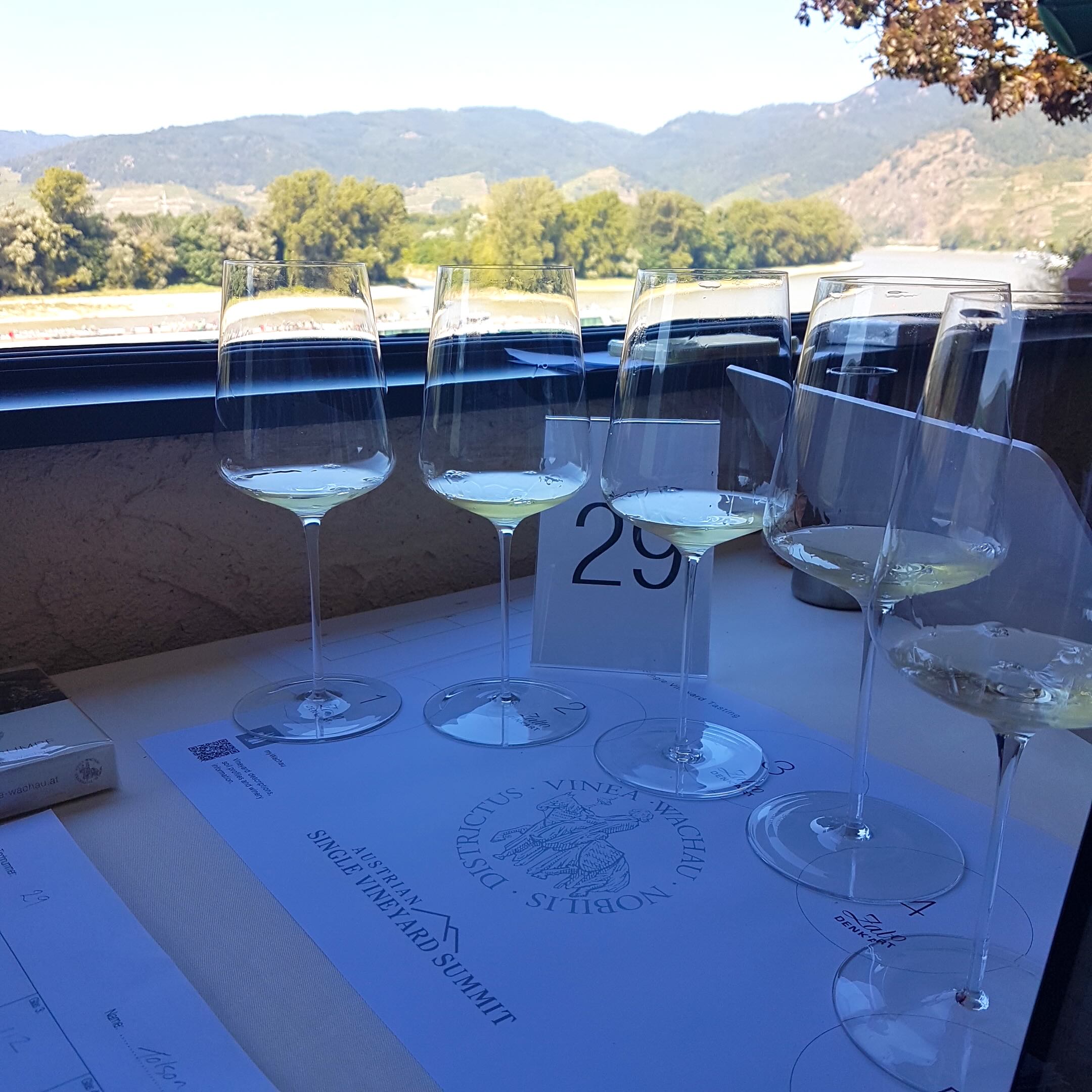 Tasting_on_terrace_Wachau.jpg