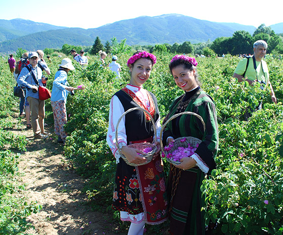 Rosé Wine Expo