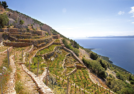 Pelejšac peninsula