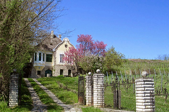 Dreamland on a Mohács hill