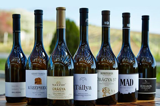 Tokaj dry bottles