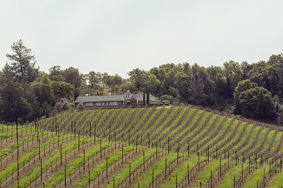 Whitehall Lane Winery