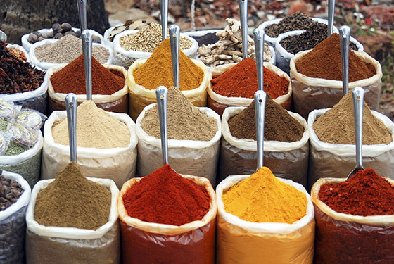 Indian spices - photo by Sara Marlowe
