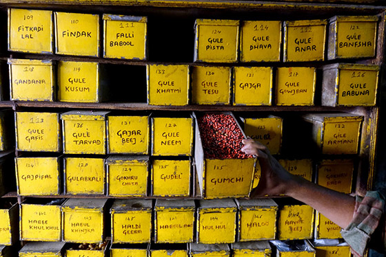 Ayurvedic Shop - photo by Rajesh Pamnani