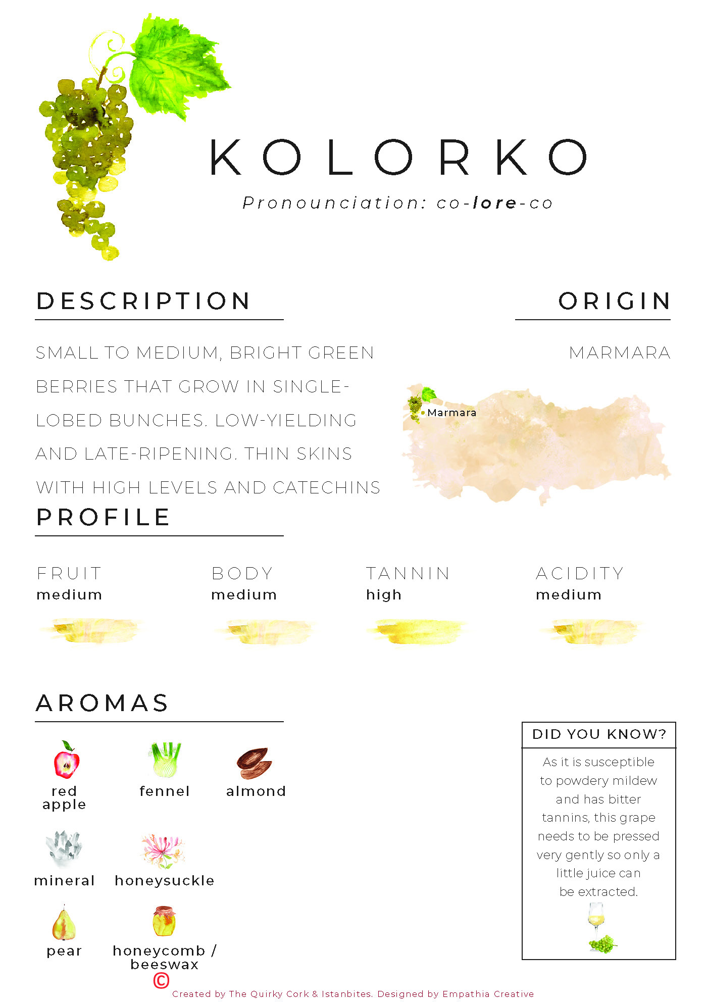 kolorko_aromas.jpg