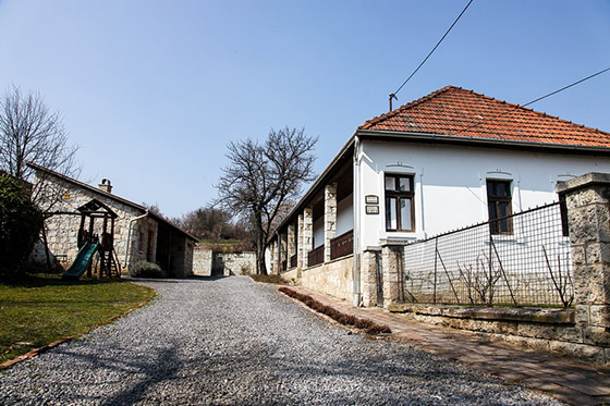 Tokaj Nobilis Winery - photo by hegyaljafoto.hu