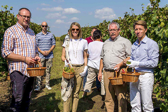 Diplomat's harvest - photo by Csaba Pelsőczy/FM