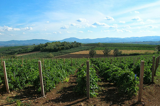 Near the village of Lipovac, Šumadija. Photo by Zoran GM67