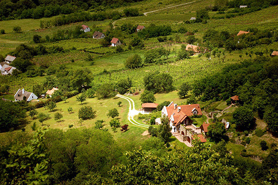 Káli Basin, Balaton Uplands - Photo by Judlorin