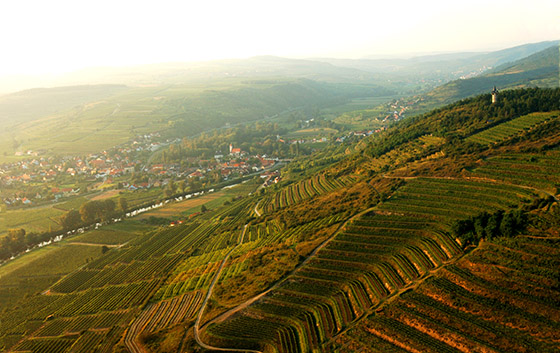 Heiligenstein