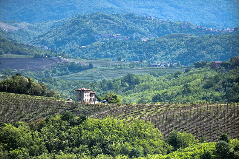 Ten reasons to visit Friuli