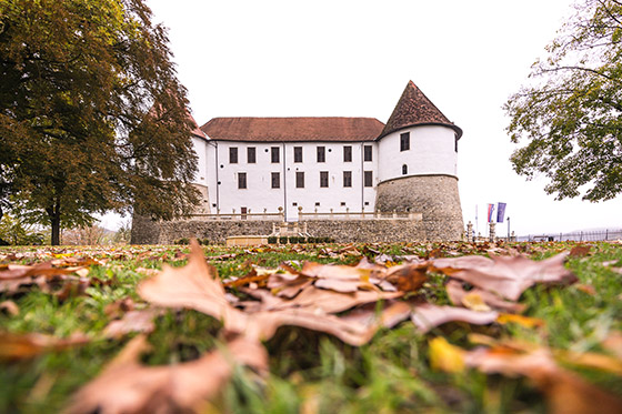 Sevnica Castle