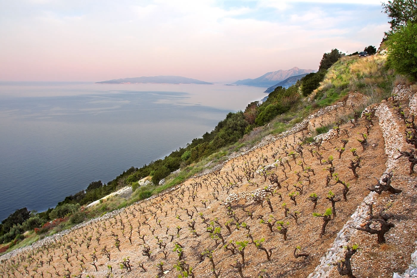 peljesac.jpg