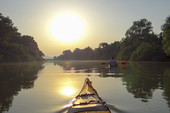 The river Bodrog