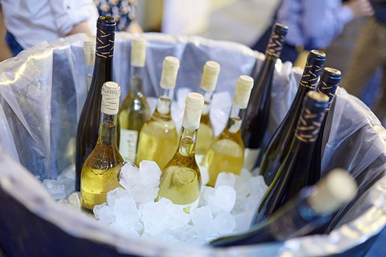 Furmint Celebration 2016