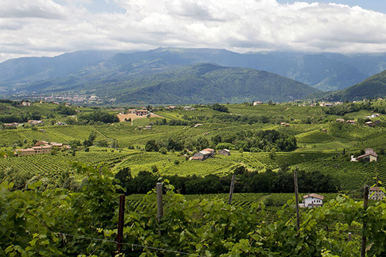 Valdobbiadene