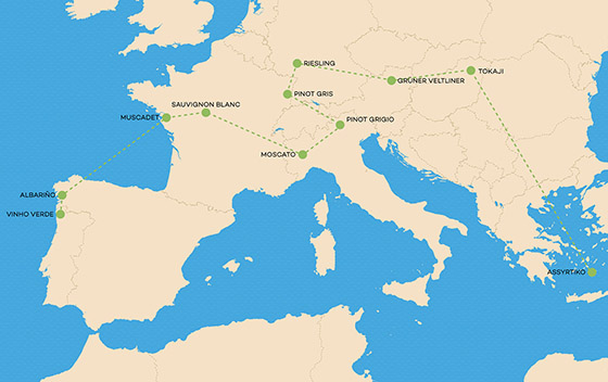 Wine Folly European white wine map