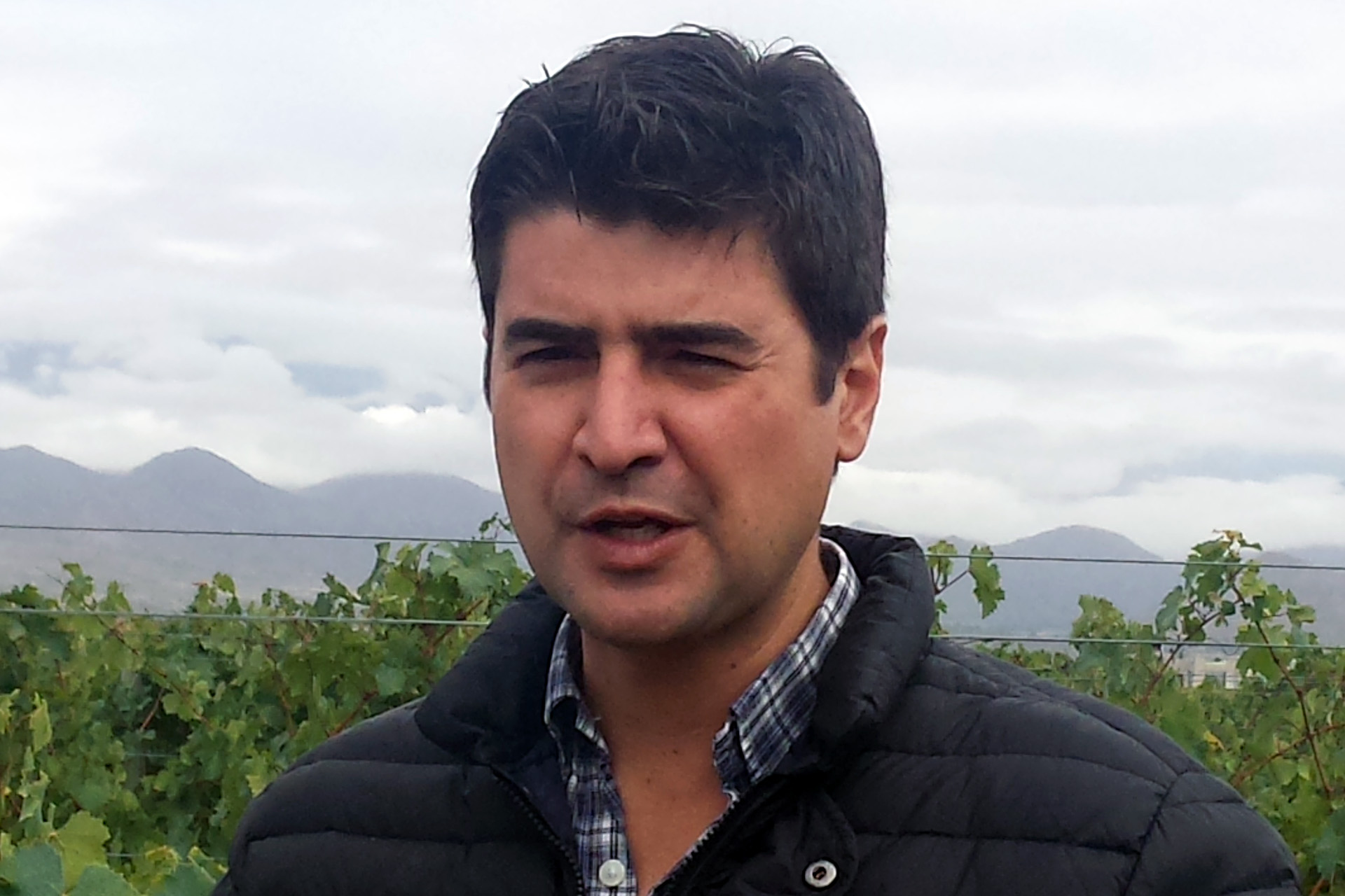 Giménez Riili Bodega & Viñedo