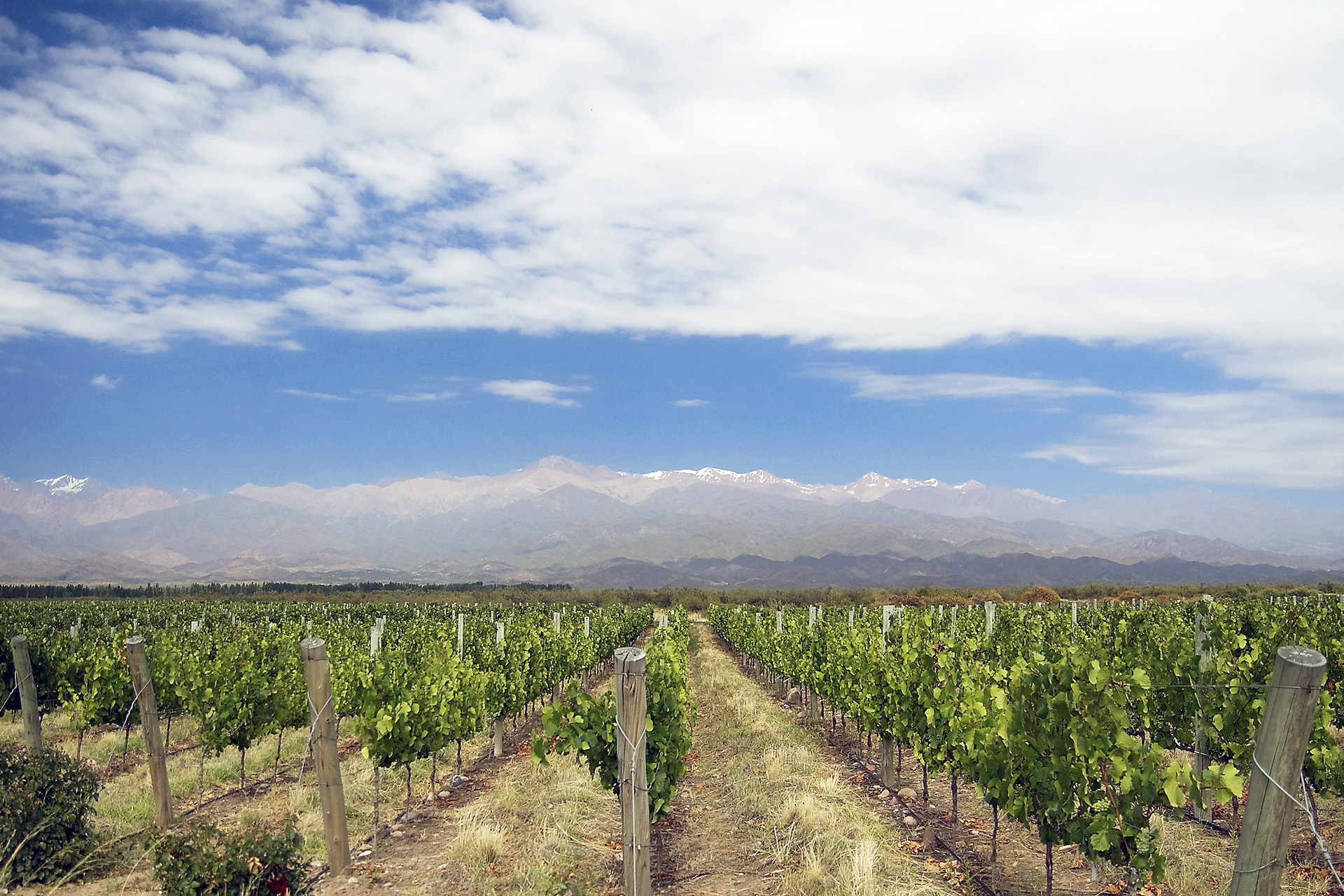 Mendoza - Uco Valley 