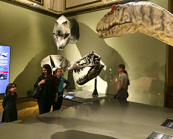 Naturhistoriches Museum