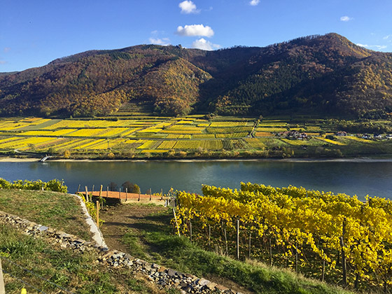 Wachau, Spitz