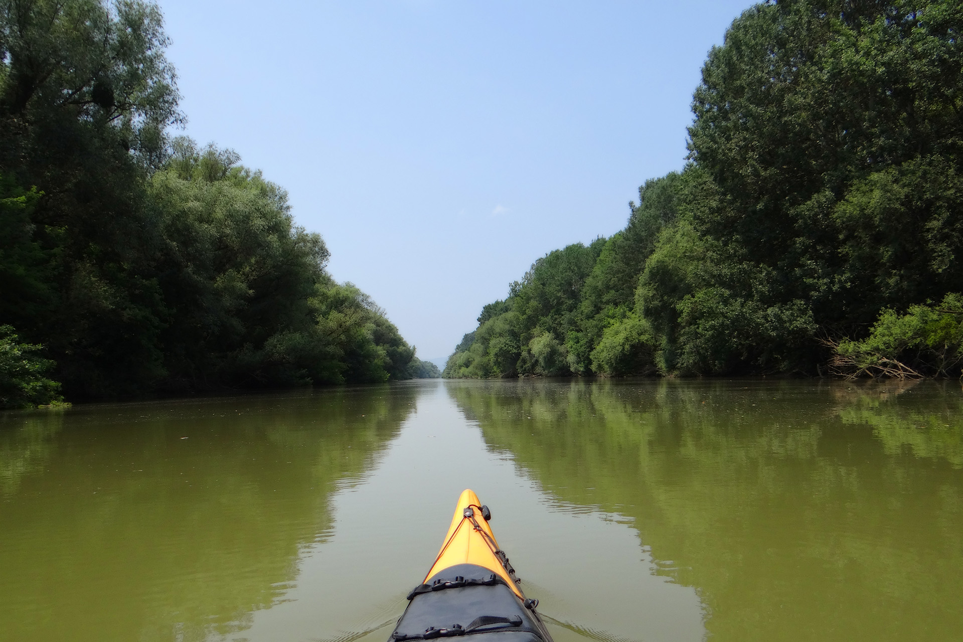 ws_bodrog_wine_paddling.jpg