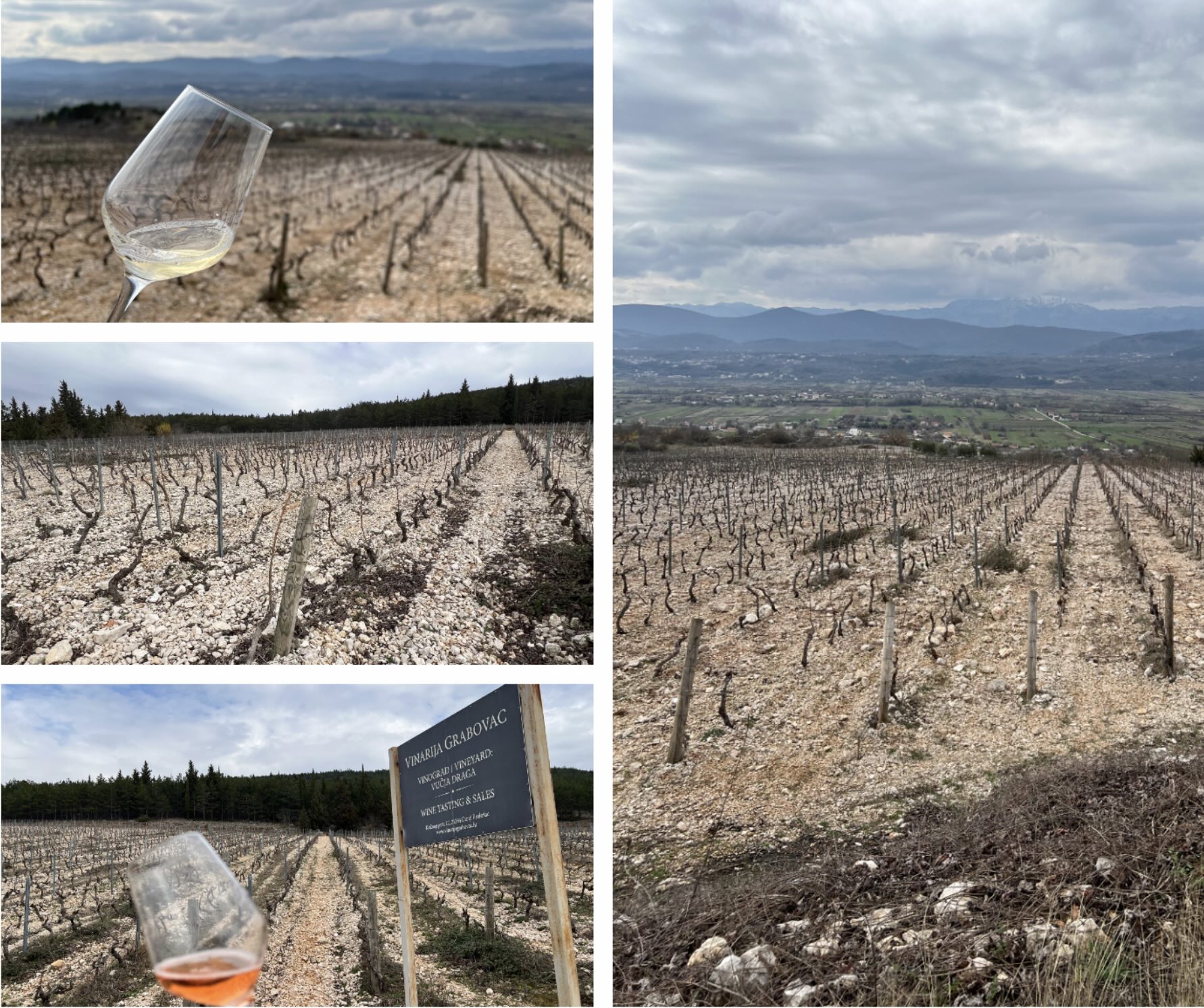 Imotski vineyards
