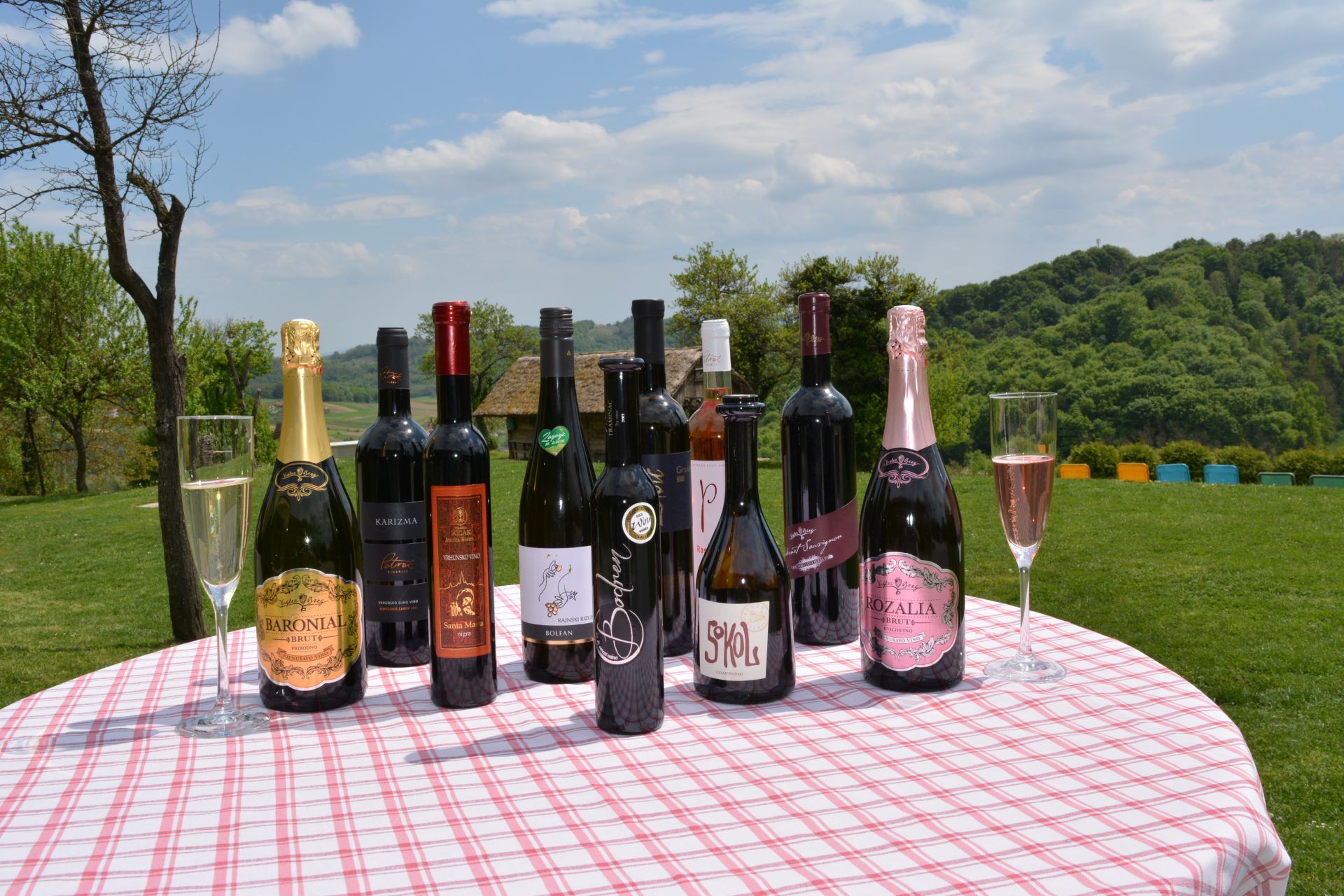 Zagorje wines