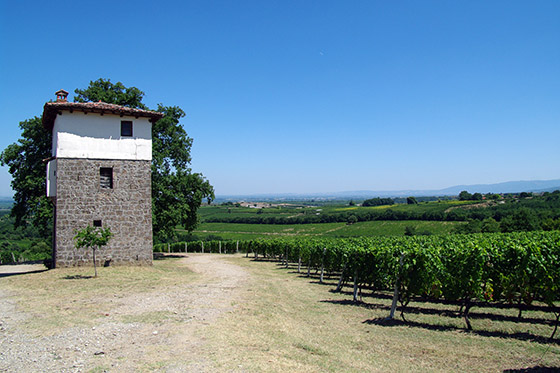 Kir-Yianni estate