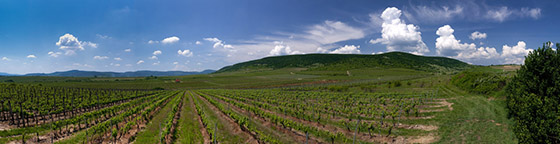 Tokaj Oremus