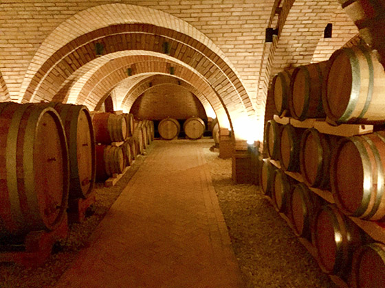 Cellar