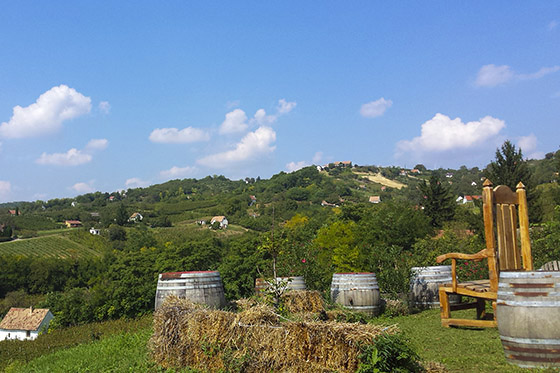 János Németh’s winery