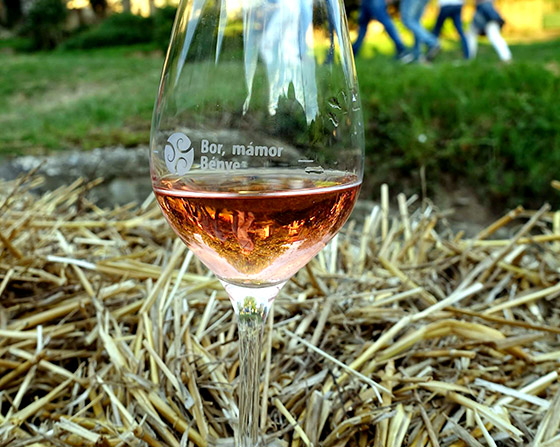 Bor Mámor Bénye (Wine, Shine, Bénye) festival