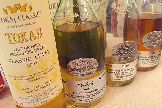 Tokaj Classic tastings