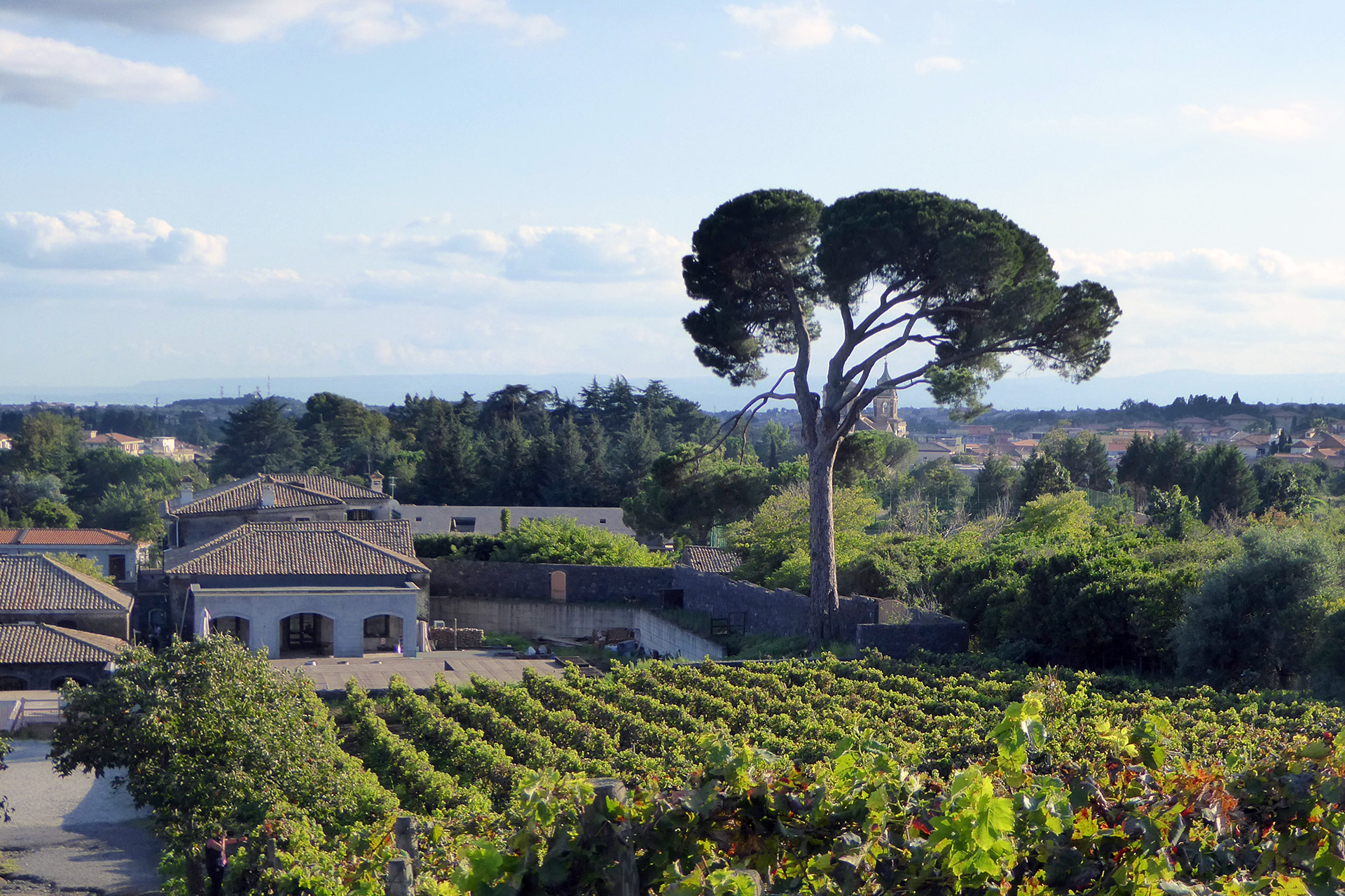 Benanti winery on sale