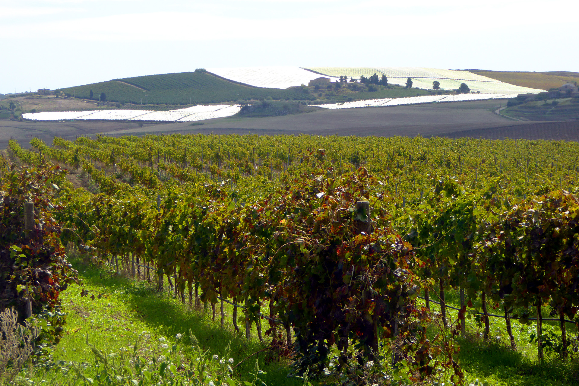 Masseria del Feudo