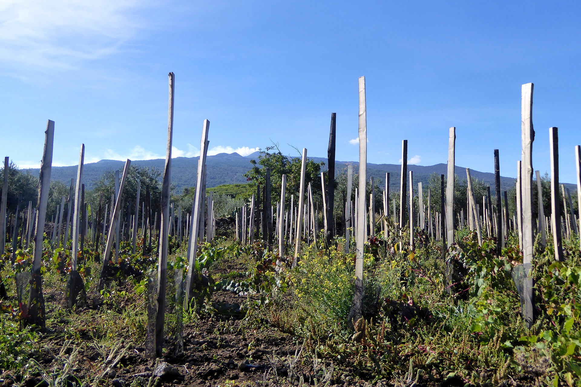 Etna