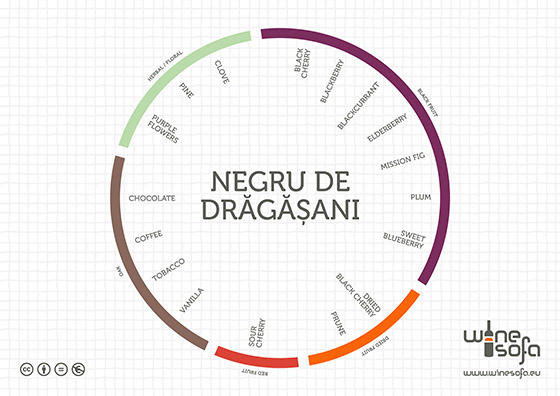 Negru de Dragasani flavor profile by WineSofa