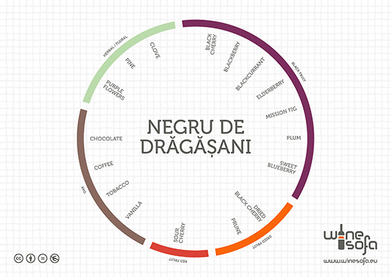 Negru de Dragasani aroma profile