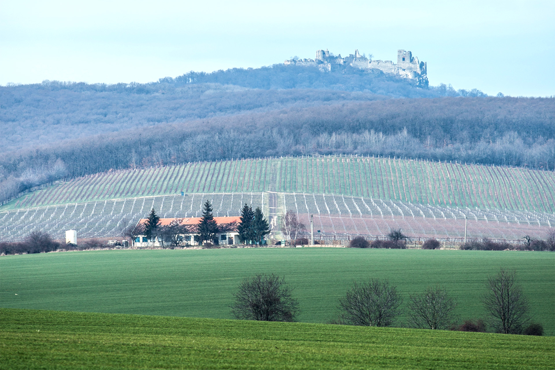 ws_wines_of_slovakia_2.jpg