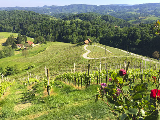 The green heart of Slovenia