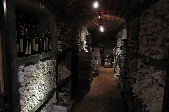 Pisano Family Vineyards and Cellars