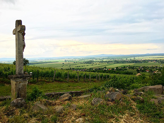 #Winelover Hungary Trip 2016 - Somló