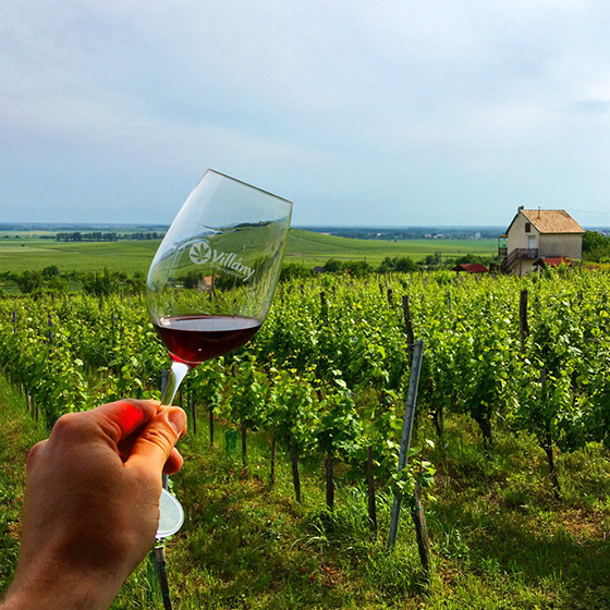 #Winelover Hungary Trip 2016