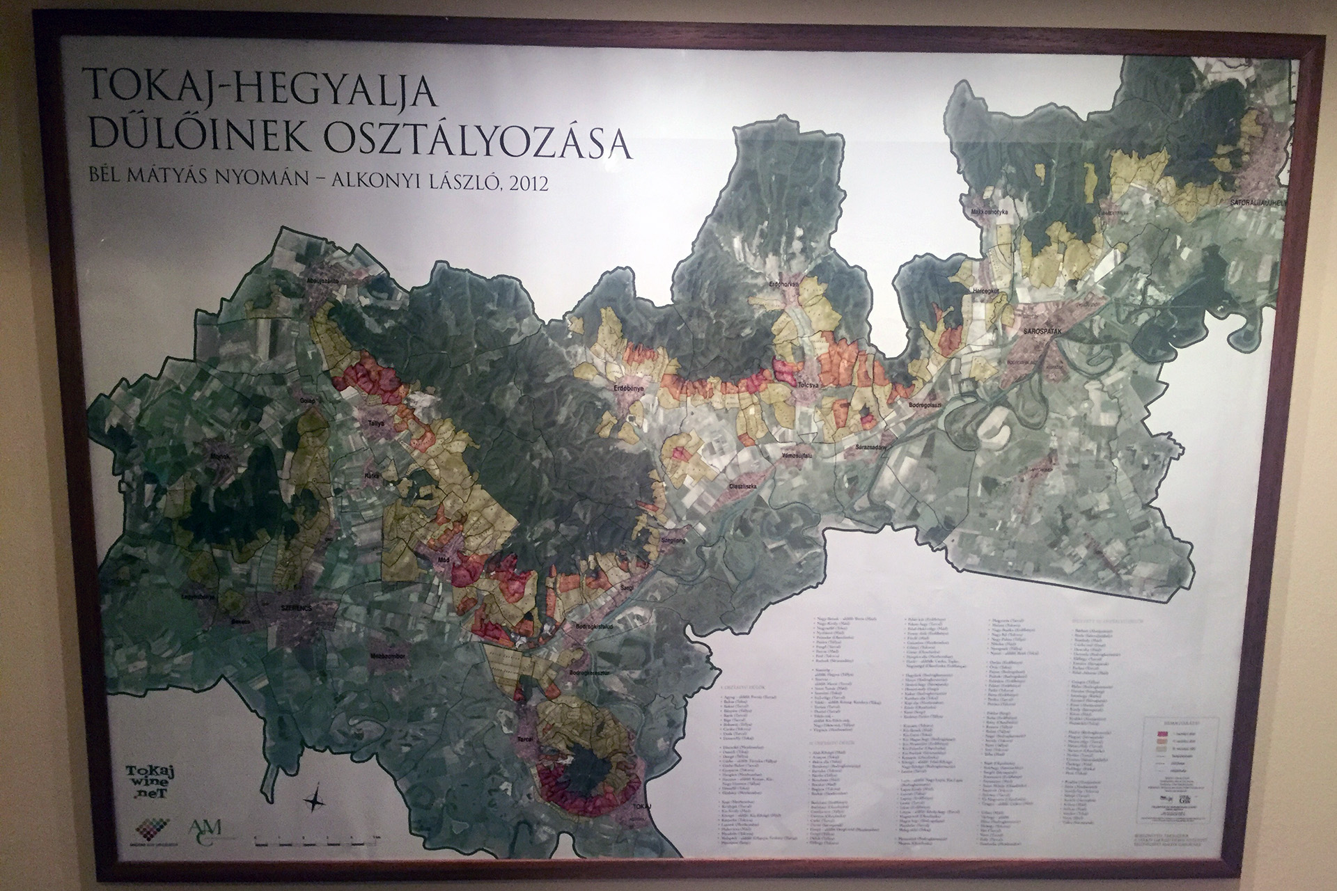 Tokaj Classification map by László Alkonyi