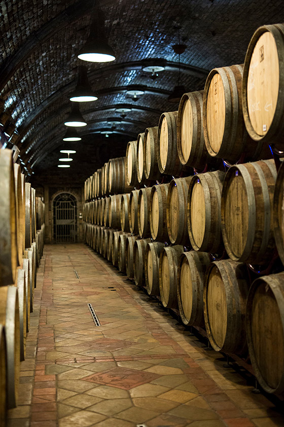 Takler Winery celebrates its twentieth anniversary