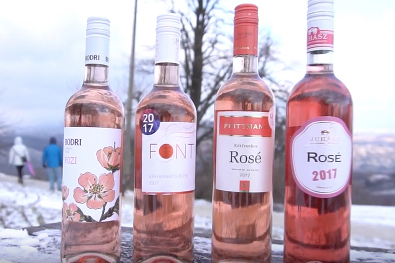 Tasting Hungarian rosé wines 2018