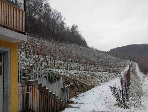 64e93019c6e6dc3a7cc3a8f487578830cb22238a.d7a1accabe2970f62bba3ed28ffa32010d0d9d13.1772803656